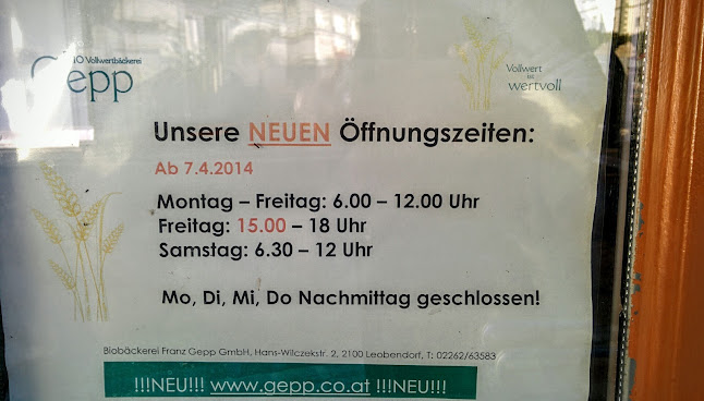 Hans-Wilczek-Straße 2, 2100 Leobendorf