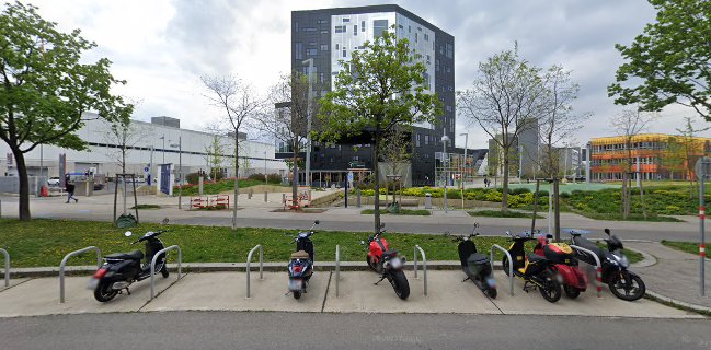 Finn Wien - Restaurant & Catering - WU Wien