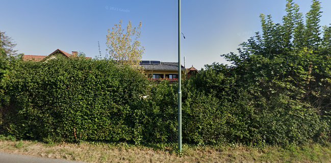 Mr. Flyžs Foodtruck Catering E.u.