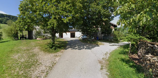 Mostheuriger Lehrbaumer