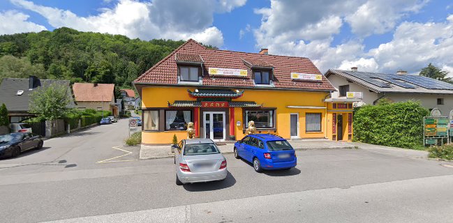 Wen-lian Lee & Co Ges.mbH