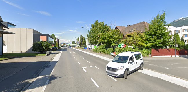 Schnitzel-Bär Hohenems