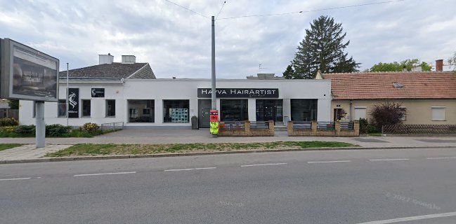 Comentarii opinii despre Barolo