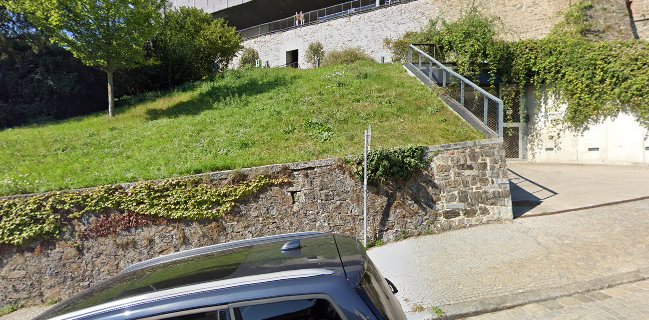 Comentarii opinii despre Schlossbrasserie