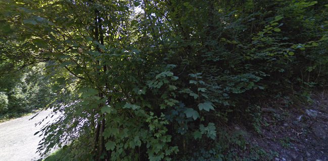 Opinii despre Conrad Sohm în Dornbirn - Gastronomie und Hotellerie