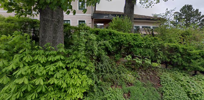 Comentarii opinii despre DORFWIRT Fischlham