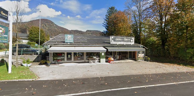 deko-stern Genussvoll Schenken & Dekorieren