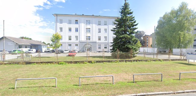 Carinthian Soundworks Studio Club