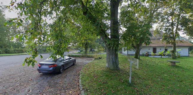 Gasthaus zur 1000jährigen Linde