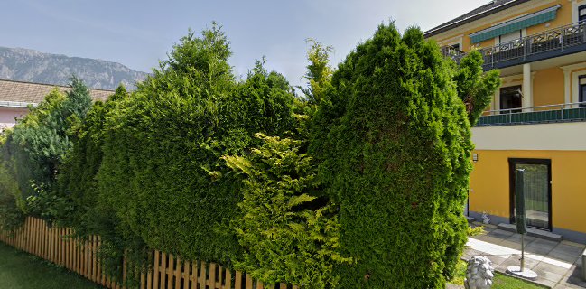 Grafvogel Inh Elke Kazianka - Arnoldstein