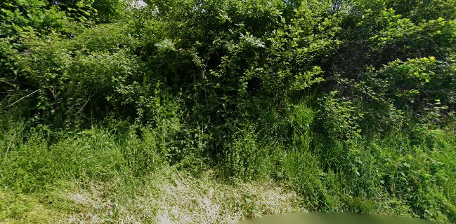 Gasthaus Burg Klein Windhaag