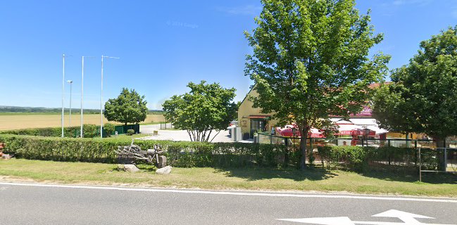 Michael Riedrich GmbH