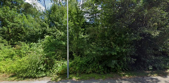 kaffemik Coffee Roasters