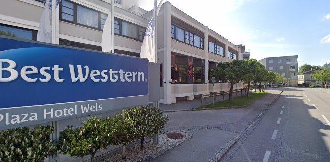 STEAK'S BAR Restaurant