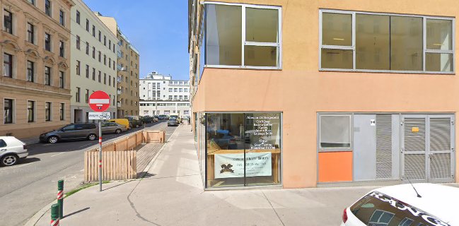 Schnauzer & Beagle - Wien