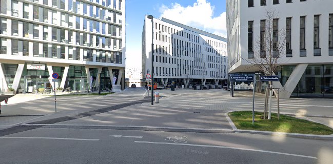 DaRose Vienna Restaurant & Events & Bar